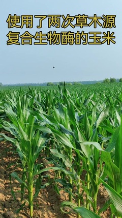 Al酶Al美技术推广服务 引领美容科技新未来