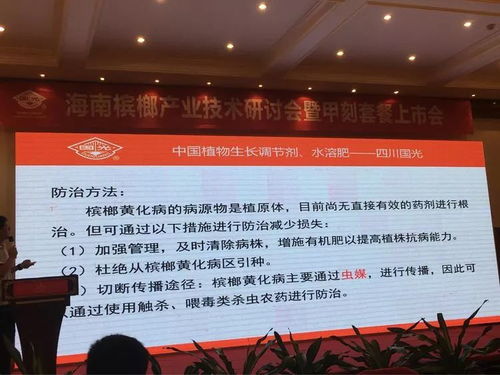 创新共赢 2018槟榔产业技术研讨交流会——技术推广服务赋能产业升级