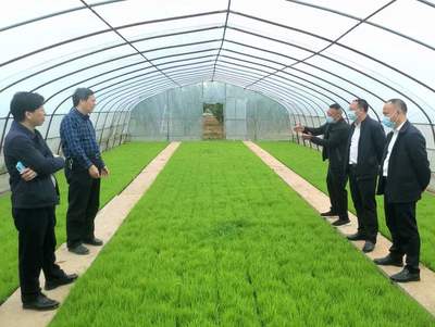 衡南县聚焦技术推广服务，力争完成55万亩机插机抛面积