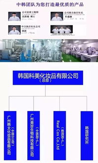 爱茉莉太平洋化妆品技术配方在中国OEM加工厂的应用与技术推广服务解析